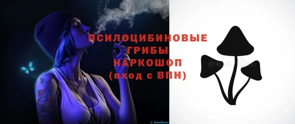 сатива Алексин